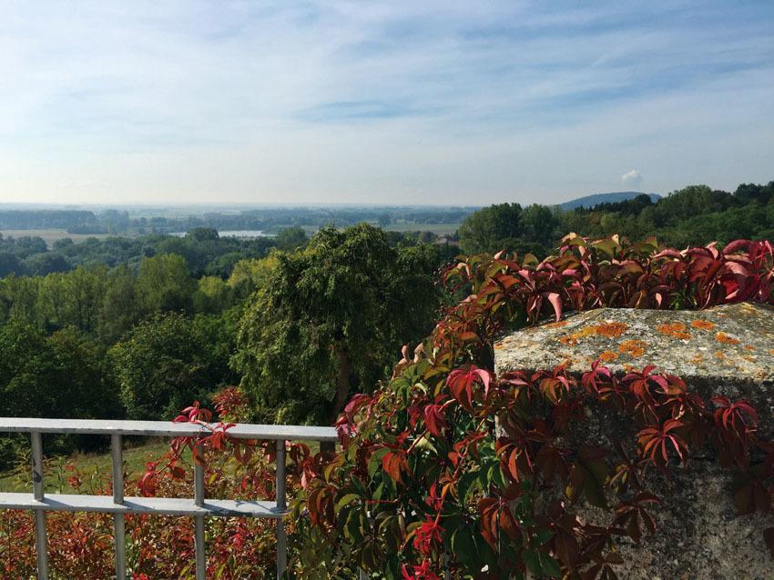 Hotel Schloss Leitheim Zewnętrze zdjęcie